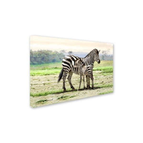 The Macneil Studio 'Zebra' Canvas Art,16x24